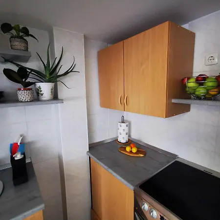 Apartment Rose 8 *