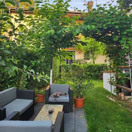 Apartment Rose 8 *