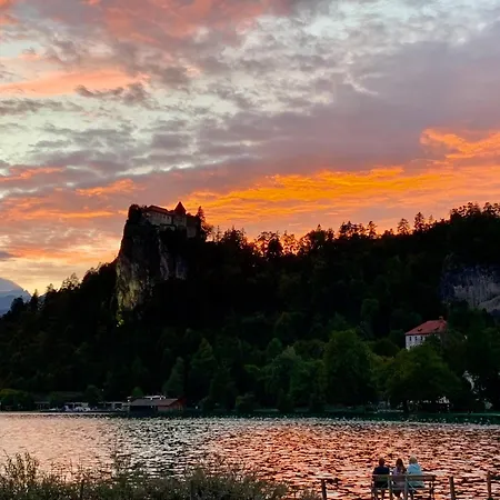 Rose 8 * Bled