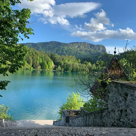 Apartman Rose 8 Bled