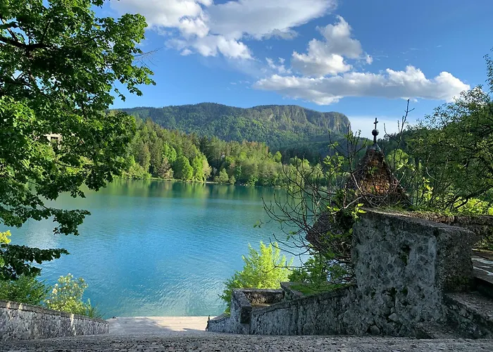 公寓 Rose 8 布莱德